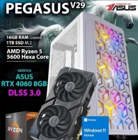 Computador Gaming Pegasus V29 RYZEN 5 5600 / RTX 4060 8GB / 16GB RAM / 1TB SSD / WINDOWS 11 HOME